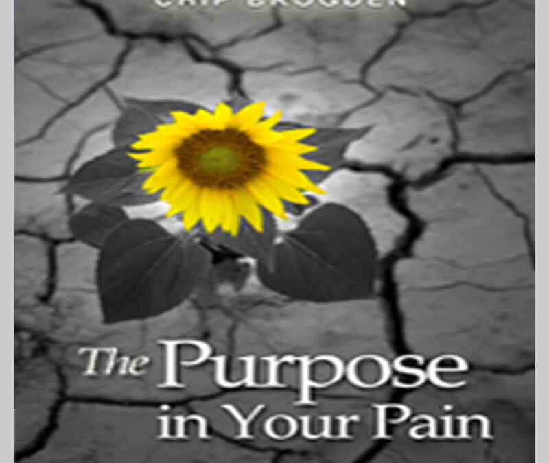 The Purpose in Your Pain