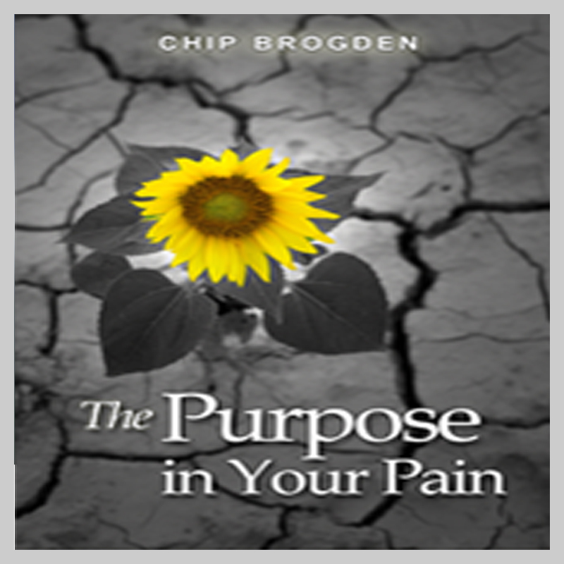 The Purpose in Your Pain