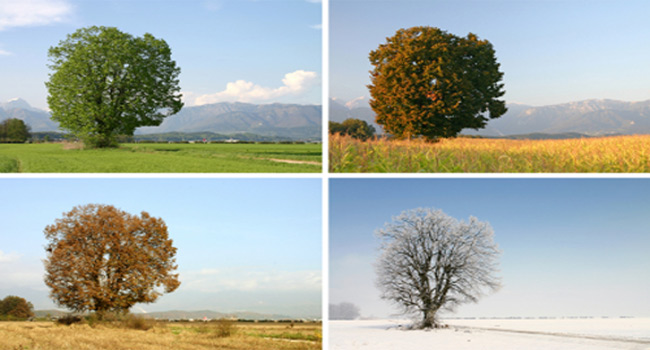 Four Spiritual Seasons