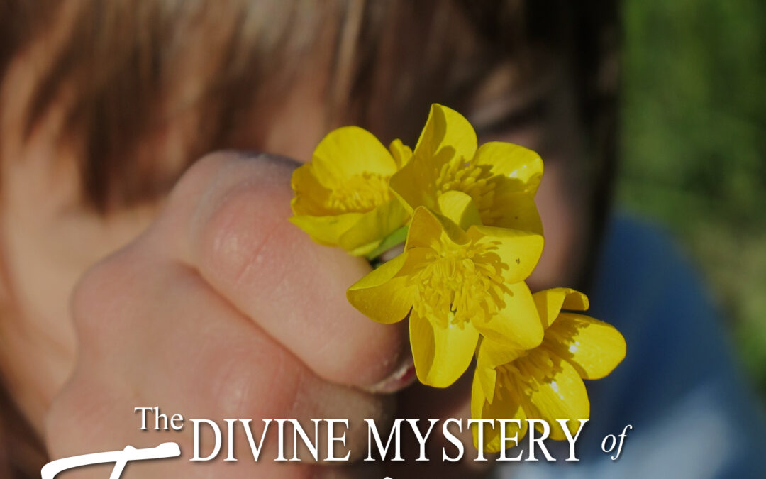 The Divine Mystery of Forgiveness