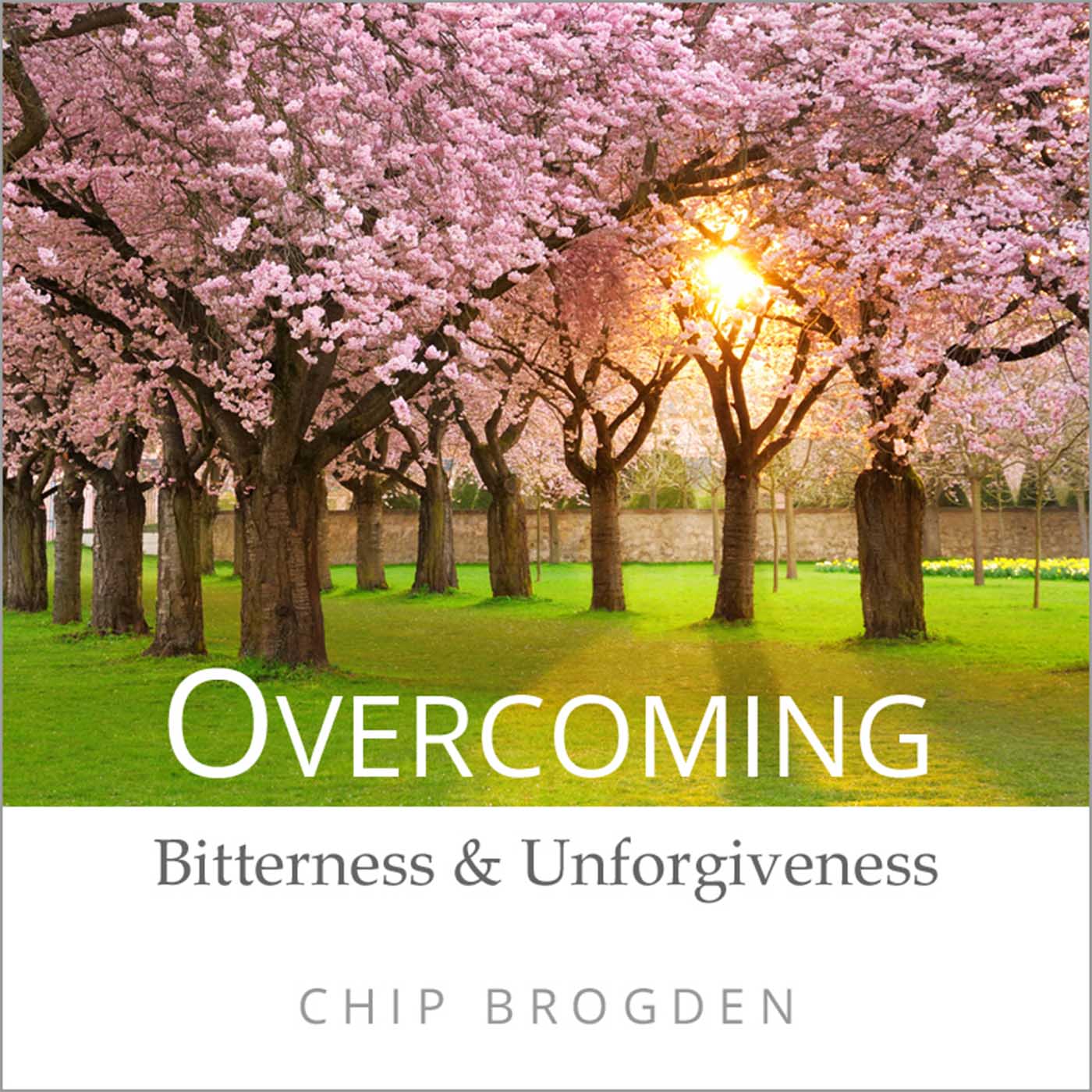 Overcoming Bitterness and Unforgiveness